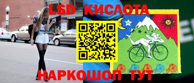 гашик Гусев