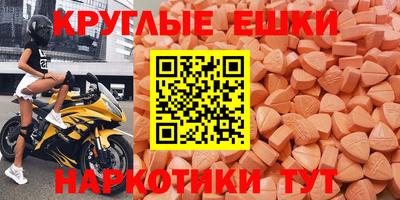 гашик Гусев