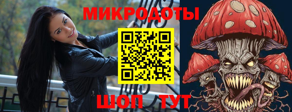 Псилоцибиновые грибы Psilocybine cubensis  Вход с VPN  Назарово 